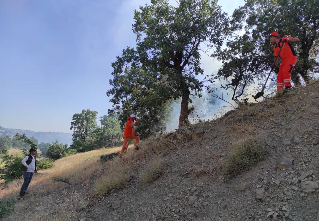 Bingöl'deki orman yangını söndürüldü - Resim: 1